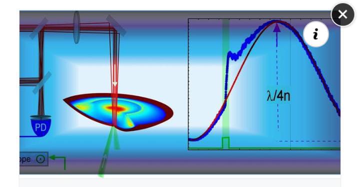 WhatsApp Image 2022-11-29 at 17.38.43